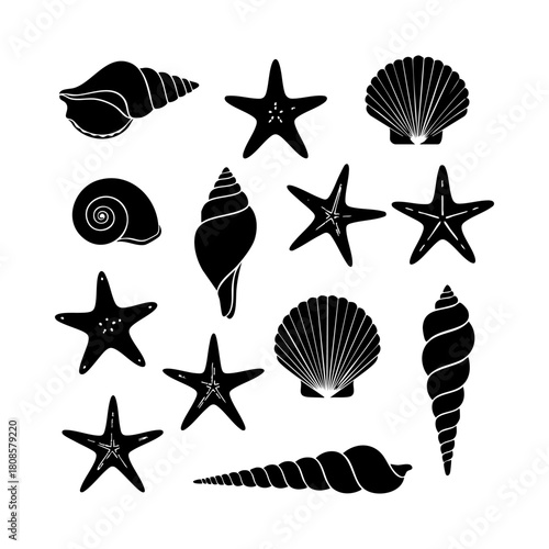 Collection of different black sea shells and starfish vector. Seashells black icons set silhouette illustration.