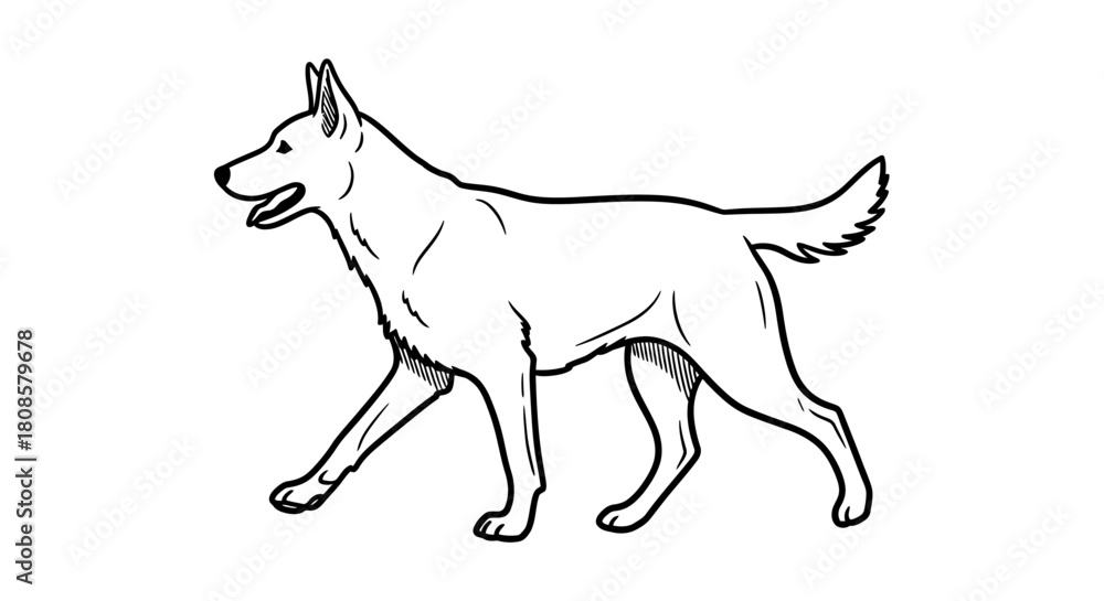 Fototapeta premium Linear depiction of a canine striding forward in a simplistic design art drawing