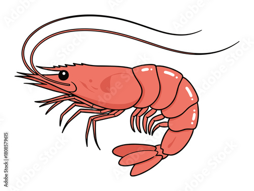 Vibrant crustacean character, simple shrimp graphic design element vector