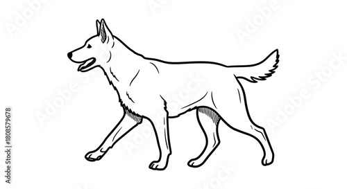 Linear depiction of a canine striding forward in a simplistic design art drawing