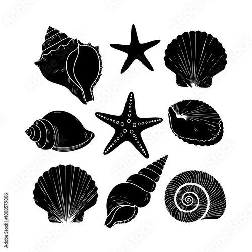 Collection of different black sea shells and starfish vector. Seashells black icons set silhouette illustration.
