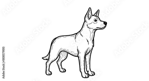 Elegant depiction of a vigilant dog standing alert, showcased with refined monochrome illustration