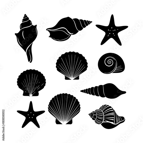 Collection of different black sea shells and starfish vector. Seashells black icons set silhouette illustration.