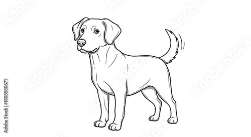 Charming Dog Illustration: A Whimsical Depiction of Canine Friendliness and Loyalty