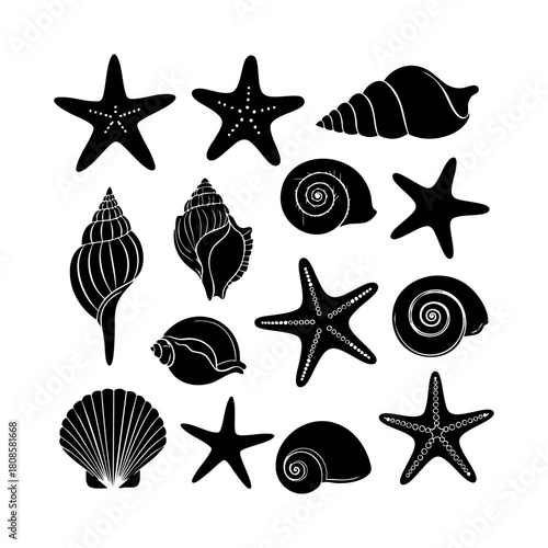 Collection of different black sea shells and starfish vector. Seashells black icons set silhouette illustration.