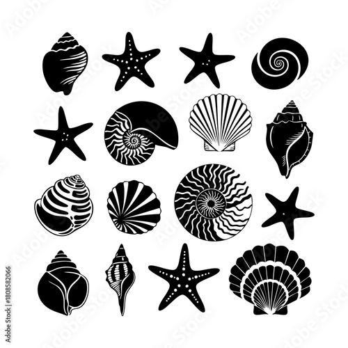 Collection of different black sea shells and starfish vector. Seashells black icons set silhouette illustration.
