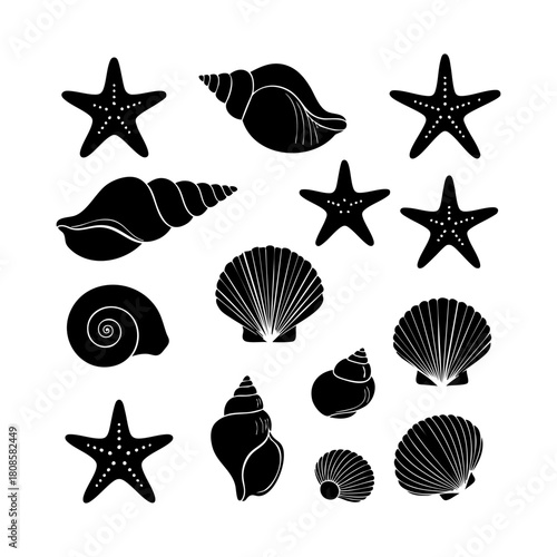 Collection of different black sea shells and starfish vector. Seashells black icons set silhouette illustration.