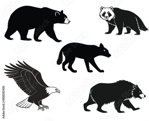 Wild Animal Silhouettes and Monochrome Illustrations Collection.