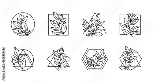 Elegant botanical line art in geometric frames, for refined and minimalist design elements