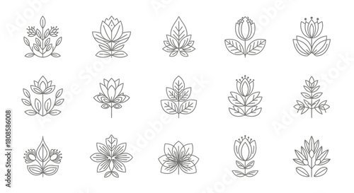 Botanical design collection showcasing minimalist linear flower and leaf illustrations