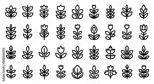 Botanical line art seamless pattern featuring diverse leaves and floral elements for creative design