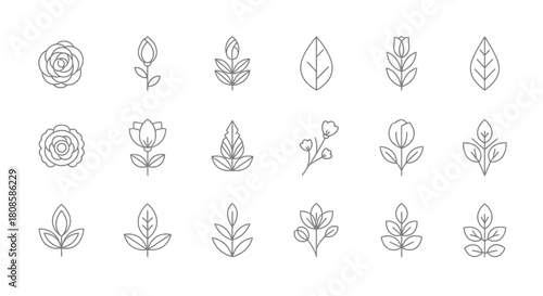 Elegant line art botanical elements collection for creative design and decoration projects