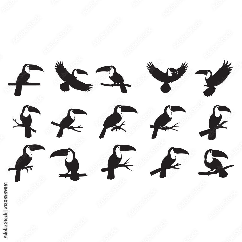Obraz premium Toucan birds silhouettes vector