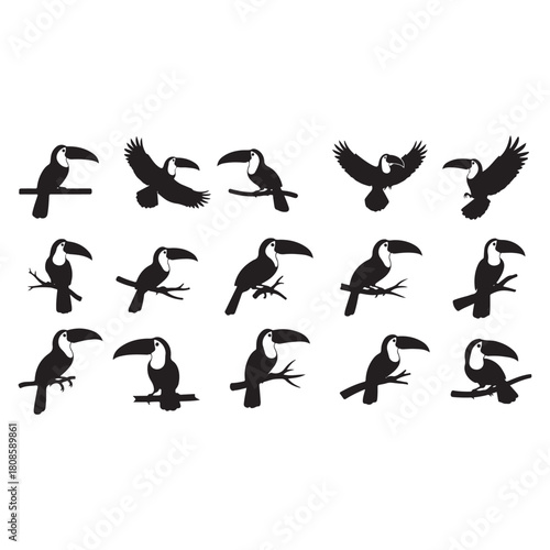  Toucan birds silhouettes vector