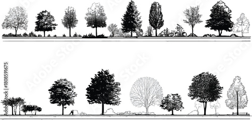 Black and white line drawing of diverse trees and bushes along a horizontal line foliage