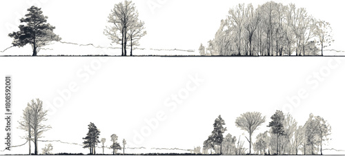 Monochrome line drawing of diverse trees and landscape elements nature