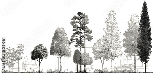 Black and white illustration of diverse trees and architectural elements in a landscape vector
