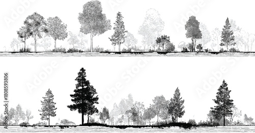 Black and white illustration of diverse trees and foliage in two horizontal bands forest nature