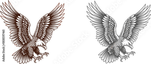 Hand drawn eagle landing with wings spread, vintage engraving style bird of prey, vector illustration set, tattoo sketch