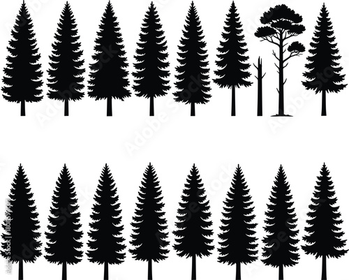 Tree silhouettes, conifer shapes, forest illustration, nature elements, evergreen trees, leafless variation, botanical design, seasonal contrast, plant forms, environment