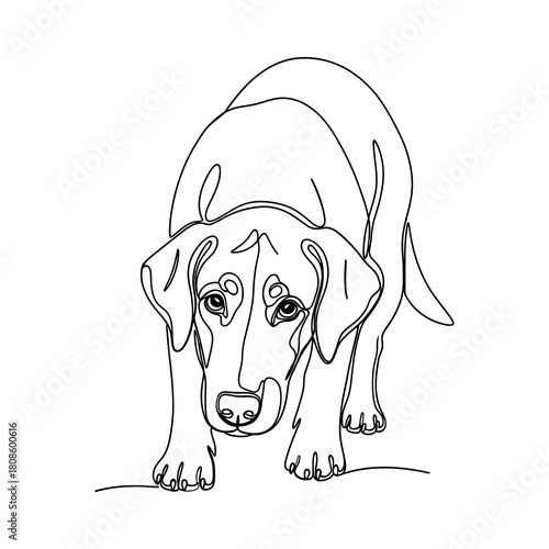 Minimalist single line drawing of a playful dog in a crouch