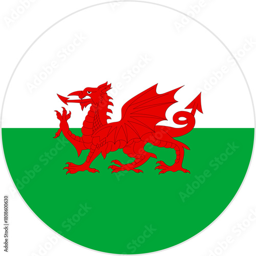 wales flag button