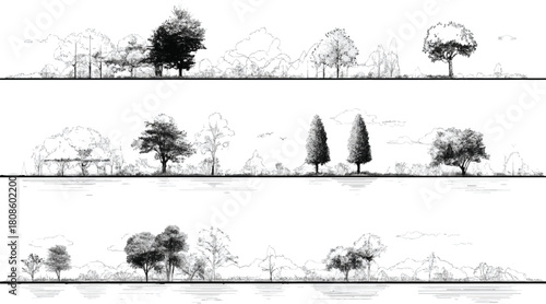 Black and white line drawing of diverse trees and foliage along a reflective water edge under a cloudy sky