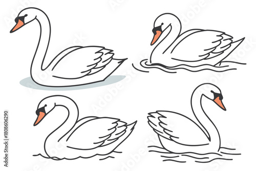 Elegant Black Swans in Various Poses Gracefully Floating on Water with a Clean and Minimalist Aesthetic Design Style