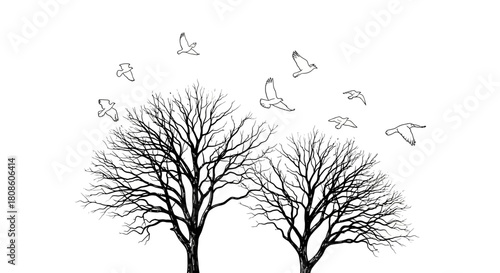 Ethereal trees and winged freedom, a minimalist landscape of bare branches and soaring birds