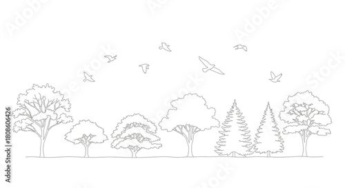 Minimalist arboreal panorama featuring diverse trees and avian silhouettes against a white