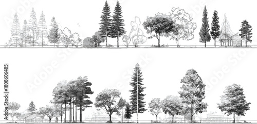 Black and white sketch of diverse trees and foliage with a building in the background forest nature