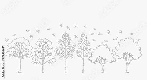 Stylized tree and birds sketch: vector drawing nature scene with flying bird shapes, woodland