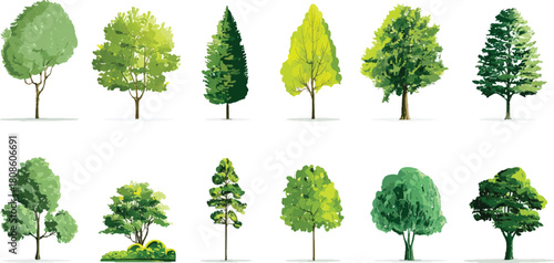 Collection of diverse green trees and bushes on white background nature plant