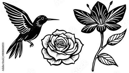 Elegant Black and White Floral Design Featuring a Hummingbird Rose and Abstract Flower on a White Background