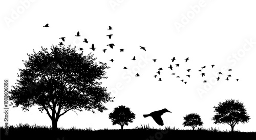 Monochrome landscape featuring trees and birds in flight creating a dynamic atmosphere