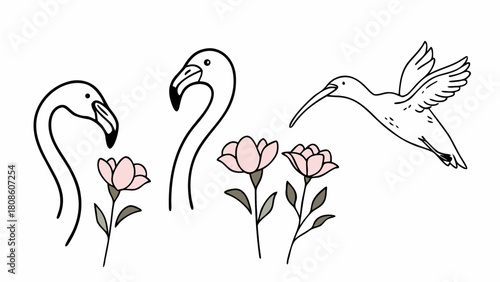 Elegant Flamingo and Hummingbird Illustration with Delicate Pink Flowers on a Clean White Background for Creative Projects