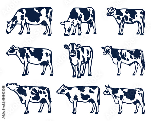 Cows with Spots illustration Art Set design