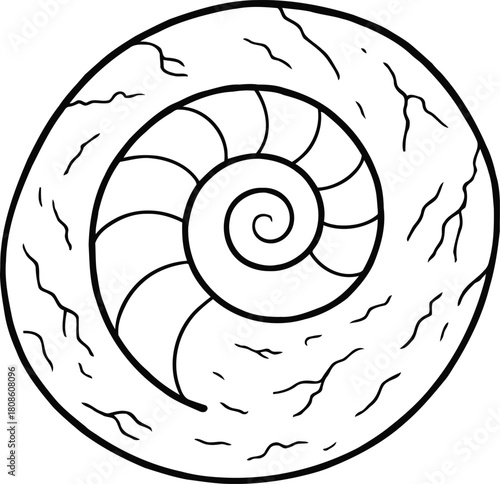 Detailed black and white line art illustration of an ancient spiral shell fossil, showcasing the intricate patterns of natural history and prehistoric life forms