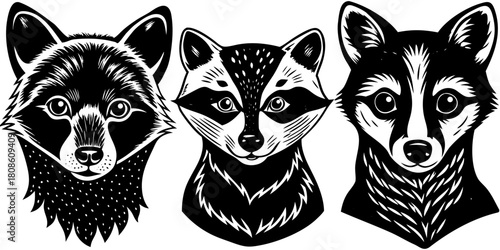 Cute Black and White Animal Portraits of Fox and Raccoon