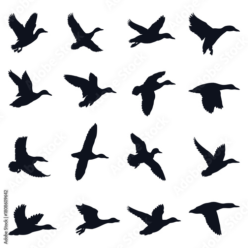 Flying Ducks Silhouette design Set