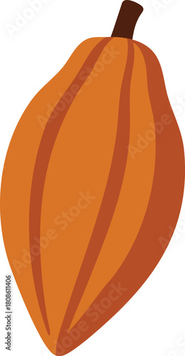 Cocoa pod whole fruit