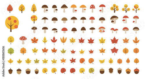 Delightful fall harvest collection featuring colorful leaves, acorns, trees, and mushrooms for your autumn designs and seasonal projects