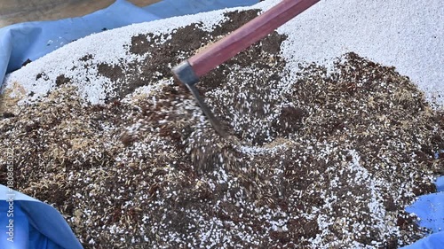 Gardener using a hoe for mix and blend coconut coir, rice husks, cow dung and Perlite for making potting soil. This soil is a soilless, man-made substrate specifically designed for growing plants.