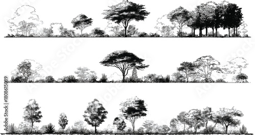 Minimal CAD Tree Line Drawing Vector Architectural Landscape Tree Elements Side View Outline Symbols Illustration Minimal CAD Tree Line Drawing Vector | Side View Tropical & Street Trees 