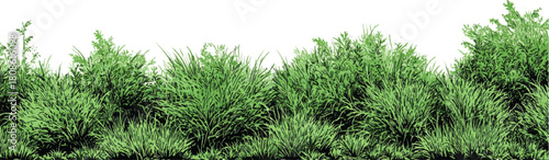 A horizontal band of lush green foliage and grass with detailed textures and varied plant shapes plants