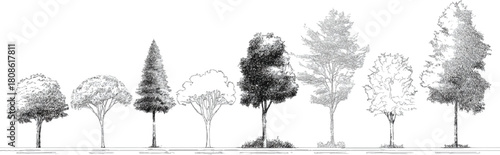 Collection of eight diverse trees in black and white sketch style nature plant