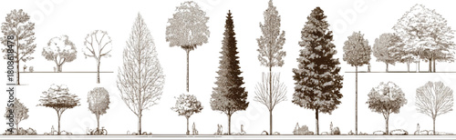 Collection of sepia toned hand drawn trees and small figures in a row nature plant