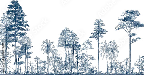 Black and white line drawing of a forest edge with trees and water nature river
