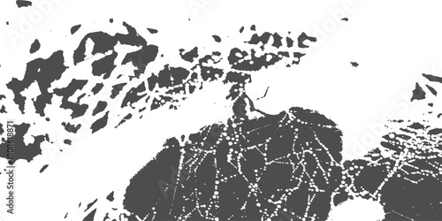 The texture for the overlay.  urban grunge, overlay pattern on transparent background