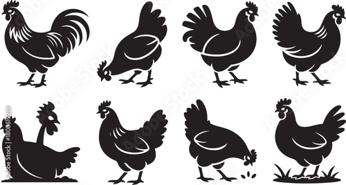 Collection of eight black and white chicken and rooster silhouettes in farm settings bird fowl